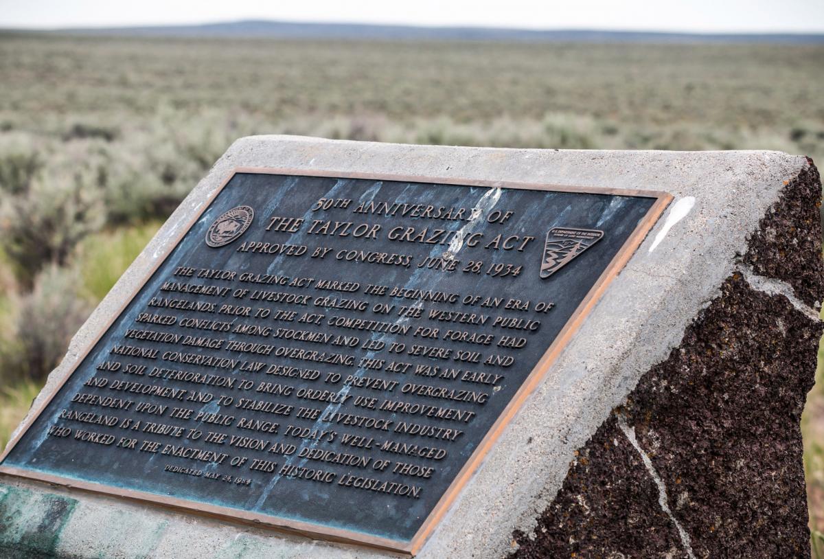 Recent Plaque Photo